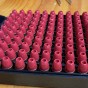 9mm Cast hollow point reloading.